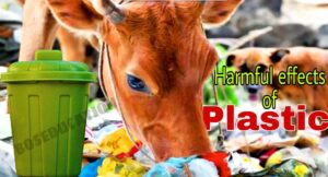 प्लास्टिक के दुष्परिणाम क्या क्या है, क्यों प्लास्टिक हानिकारक है, प्लास्टिक प्रदूषण से कौन कौन सी बीमारियां होती है, प्लास्टिक से क्या क्या समस्याएं हो रही है? What is plastic in simple words, What is plastic made from, What is plastic explain, How is plastic harmful