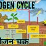 नाइट्रोजन चक्र क्या है सचित्र वर्णन कीजिए?, नाइट्रोजन चक्र कैसे बनता है?, नाइट्रोजन चक्र की प्रक्रिया का नाम क्या है?, नाइट्रोजन चक्र में कितने चरण होते हैं?, नाइट्रोजन चक्र के दौरान वायुमंडल में नाइट्रोजन की मात्रा, नाइट्रोजन चक्र चित्र, नाइट्रोजन चक्र PDF, नाइट्रोजन स्थिरीकरण क्या है, नाइट्रोजन चक्र NCERT, नाइट्रोजन चक्र पर निबंध, नाइट्रोजन चक्र का महत्व, प्रकृति में नाईट्रोजन चक्र को समझाइए ,itrogen cycle in hindi class 9, nitrogen cycle diagram in hindi, नाइट्रोजन चक्र ncert, नाइट्रोजन चक्र पर निबंध लिखिए, nitrogen cycle diagram class 8, नाइट्रोजन चक्र का महत्व, नाइट्रोजन साइकिल इन हिंदी पीडीएफ, nitrogen fixation bacteria in hindi, प्रकृति में नाईट्रोजन चक्र को समझाइए ?
