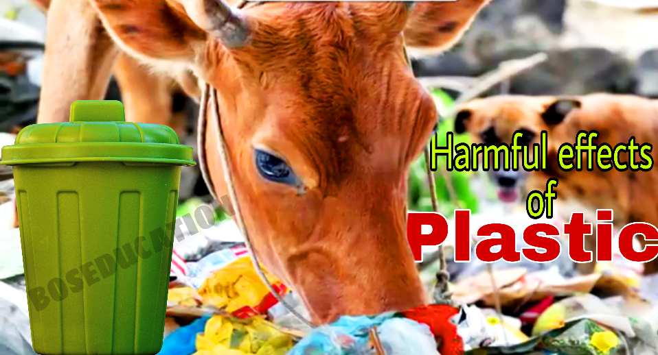 You are currently viewing Plastic:प्लास्टिक से होने वाले दुष्परिणाम व प्लास्टिक से पर्यावरण की रक्षा कैसे करे?