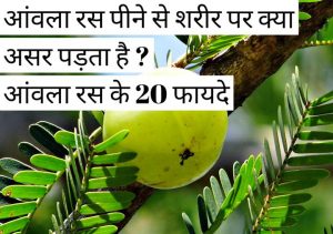 Read more about the article आंवला रस के लाभ: जाने आंवले का रस पीने से ये अद्भुत लाभ होते हैं ? आंवला रस के 20 लाभ |