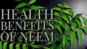 Read more about the article नीम की पत्ती खाने के फायदे और नुकसान :Neem Benefits in hindi