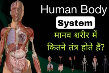 how many systems in human body, manav sharir me kul kitne tantr hote hai