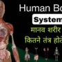 how many systems in human body, manav sharir me kul kitne tantr hote hai