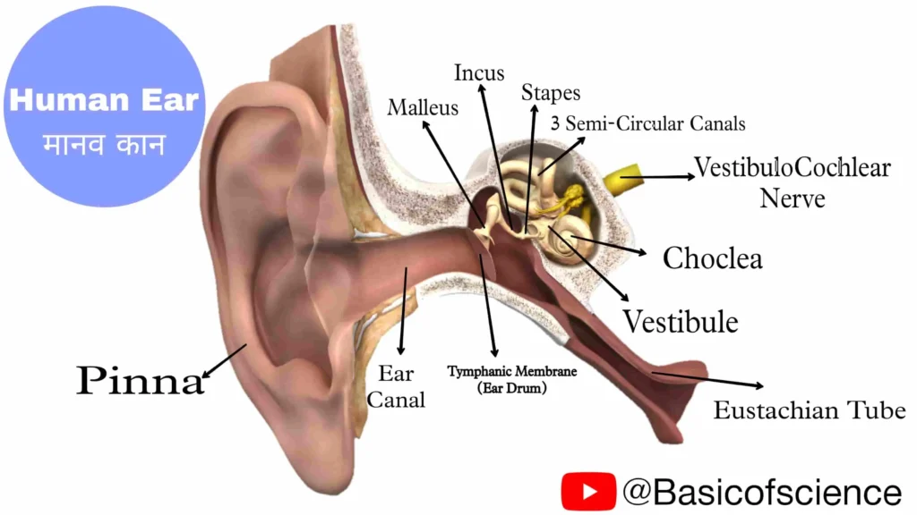 earphone damage ears hindi